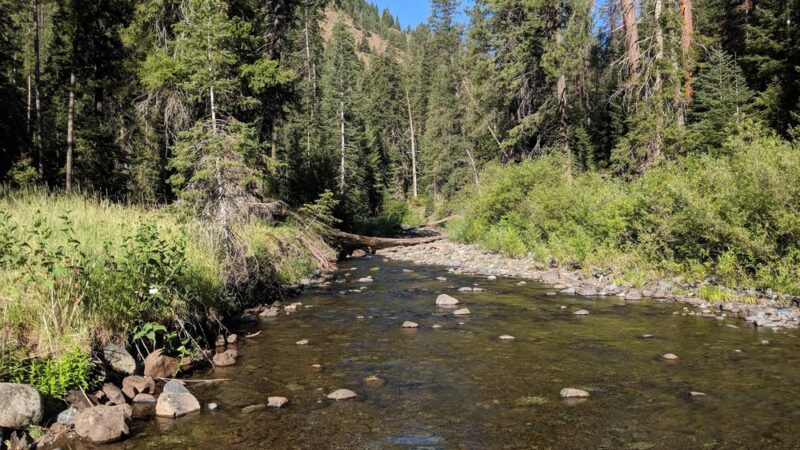 Lake Fork Campground - Halfway, OR