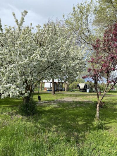 Quail Run RV Park & Storage - Halfway, OR