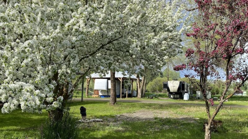 Quail Run RV Park & Storage - Halfway, OR
