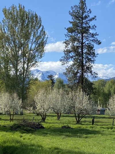 Quail Run RV Park & Storage - Halfway, OR