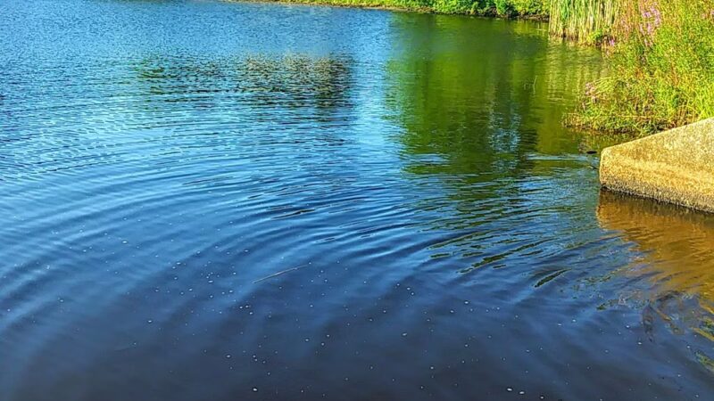 Monponsett Pond - Halifax, MA