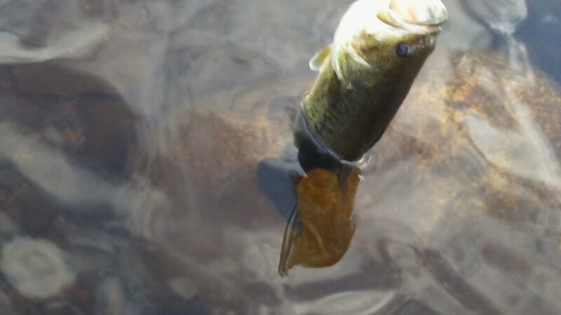 Monponsett Pond - Halifax, MA