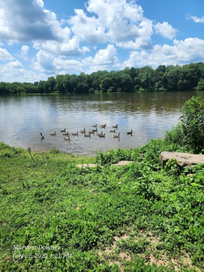 Fort Halifax Park - Halifax, PA