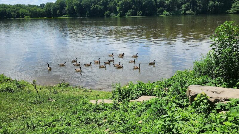 Fort Halifax Park - Halifax, PA