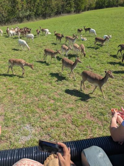 Halifax Area Recreation Authority Athletic Fields Park - Halifax, PA