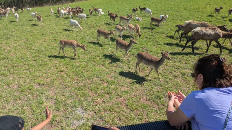 Halifax Area Recreation Authority Athletic Fields Park - Halifax, PA