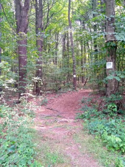 Joseph E. Ibberson Conservation Area - Halifax, PA