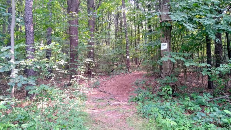 Joseph E. Ibberson Conservation Area - Halifax, PA