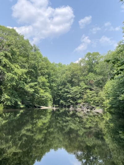 Joseph E. Ibberson Conservation Area - Halifax, PA