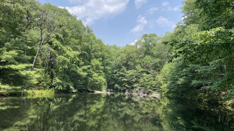 Joseph E. Ibberson Conservation Area - Halifax, PA