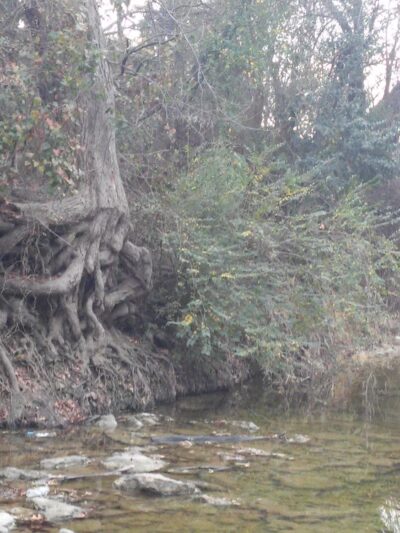 Haltom Road Park - Haltom City, TX