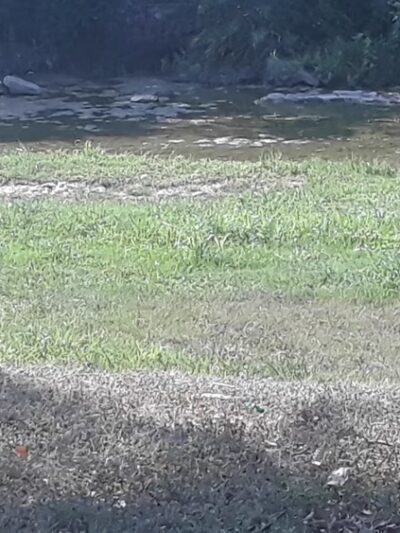 Little Fossil Park - Haltom City, TX