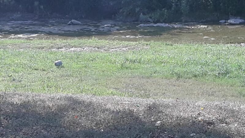 Little Fossil Park - Haltom City, TX