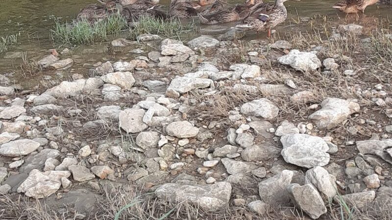 Little Fossil Park - Haltom City, TX