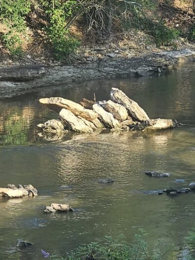 Little Fossil Park - Haltom City, TX