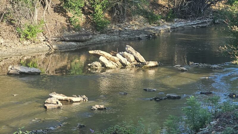Little Fossil Park - Haltom City, TX