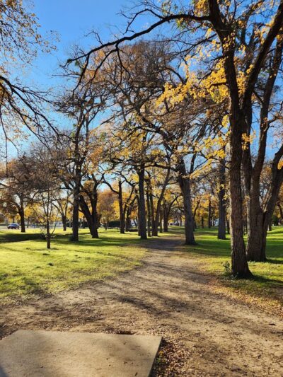 North Park - Haltom City, TX