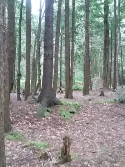 Hambleton Town Park - Hambleton, WV