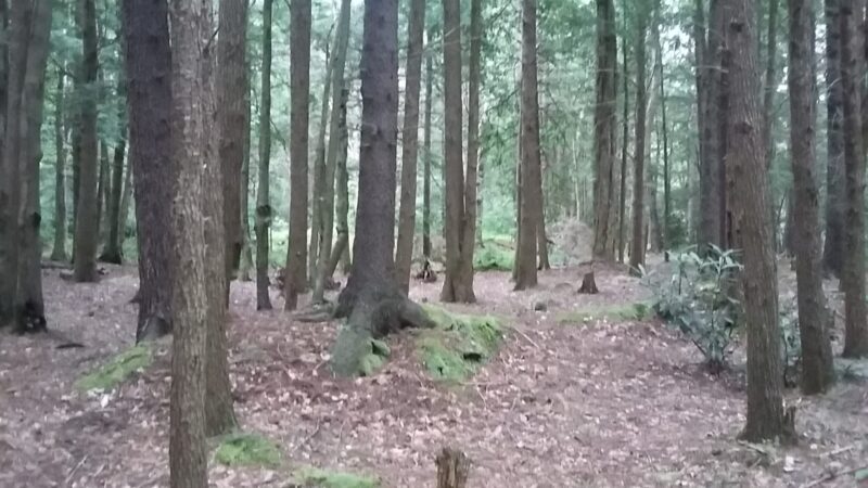 Hambleton Town Park - Hambleton, WV