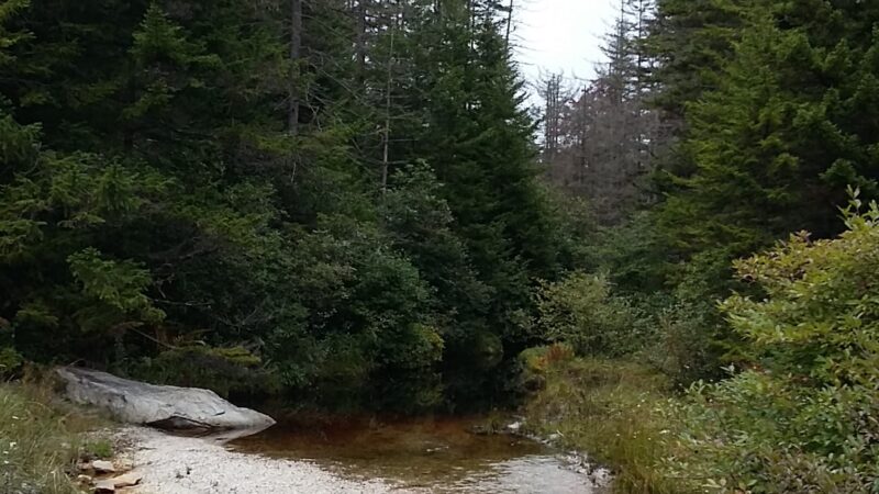 Hambleton Town Park - Hambleton, WV