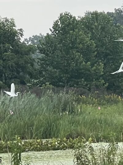 Fish Creek Trail - Hamilton, IN