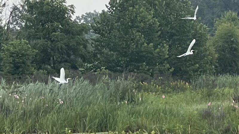 Fish Creek Trail - Hamilton, IN