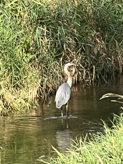 Fish Creek Trail - Hamilton, IN