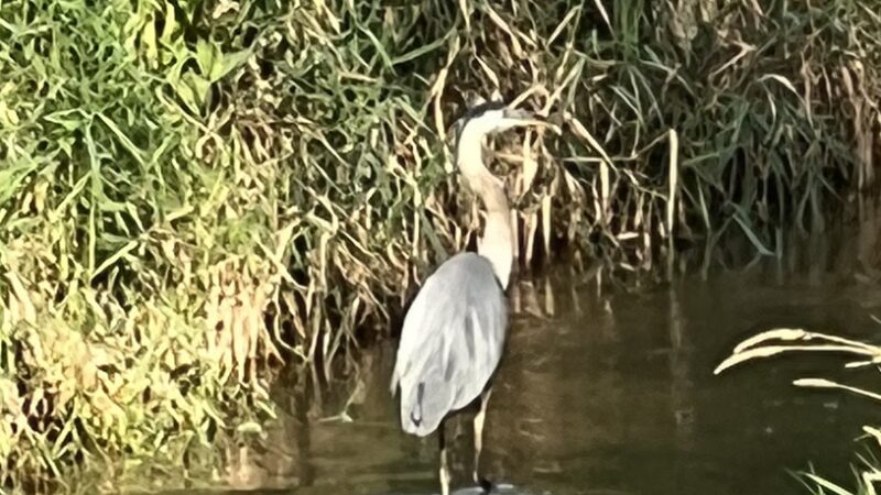 Fish Creek Trail - Hamilton, IN