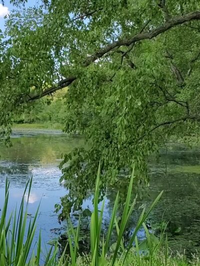John A. Roebling Memorial Park - Hamilton Township, NJ