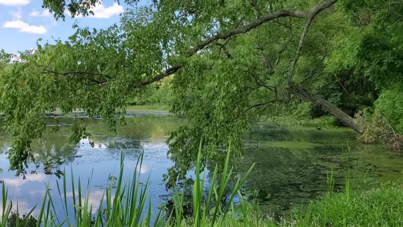John A. Roebling Memorial Park - Hamilton Township, NJ