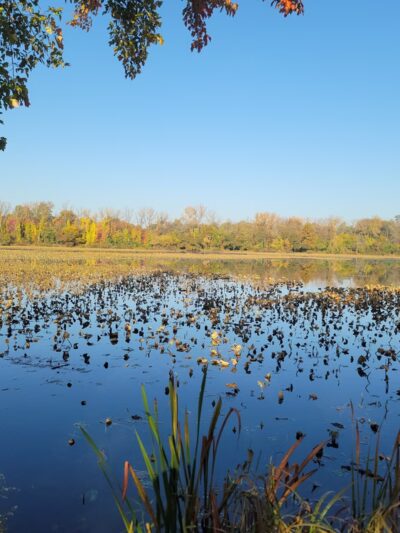 John A. Roebling Memorial Park - Hamilton Township, NJ