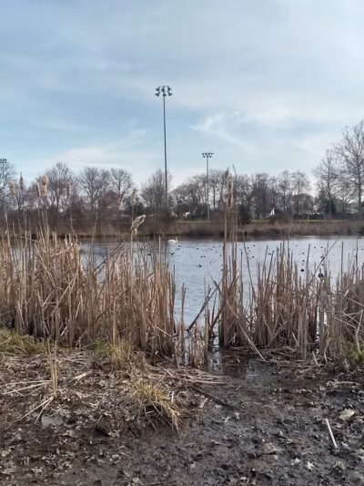 Snell & Wilkus Memorial park - Hamilton Township, NJ