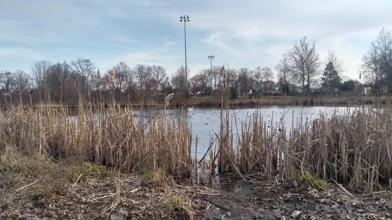 Snell & Wilkus Memorial park - Hamilton Township, NJ