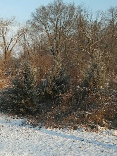 Snell & Wilkus Memorial park - Hamilton Township, NJ