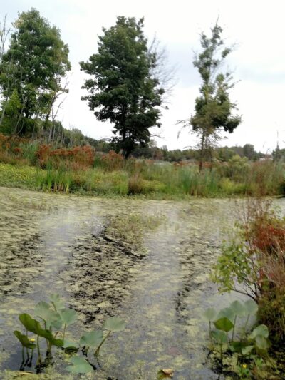 Snell & Wilkus Memorial park - Hamilton Township, NJ