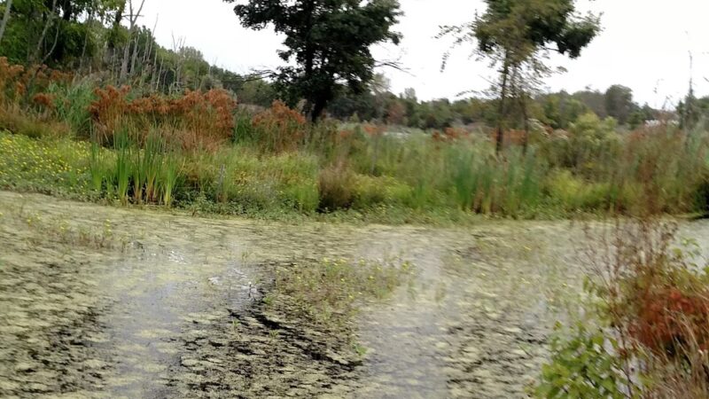 Snell & Wilkus Memorial park - Hamilton Township, NJ