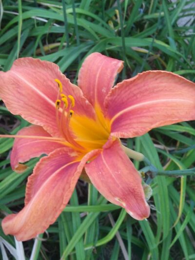 Township - Hamilton Township, NJ