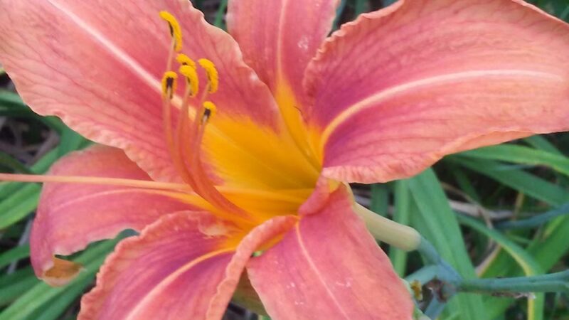 Township - Hamilton Township, NJ