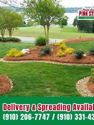 Sánchez Pinestraw LLC - Hamlet, NC