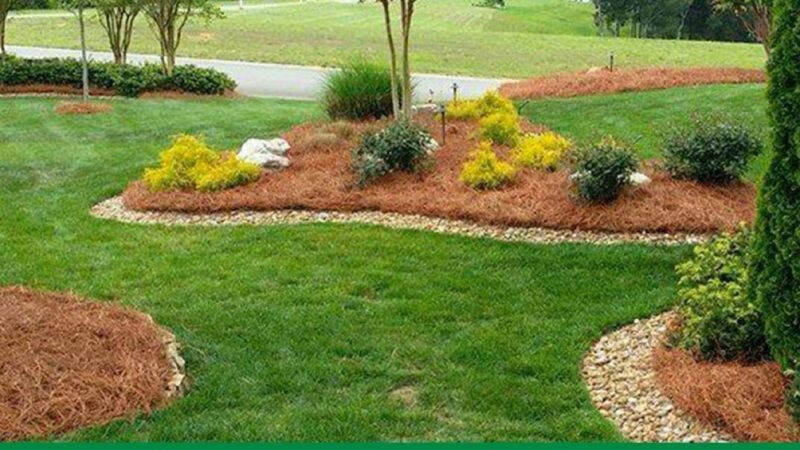 Sánchez Pinestraw LLC - Hamlet, NC