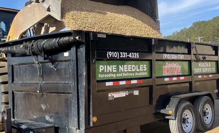 Sánchez Pinestraw LLC - Hamlet, NC