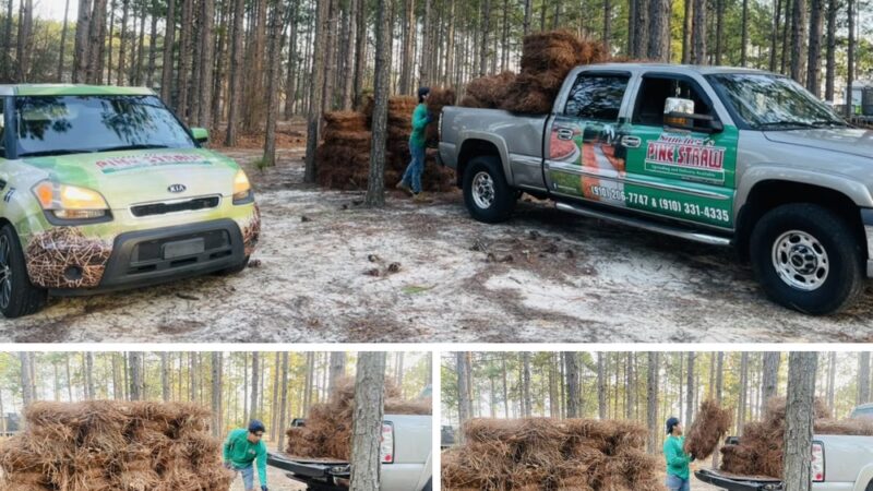 Sánchez Pinestraw LLC - Hamlet, NC