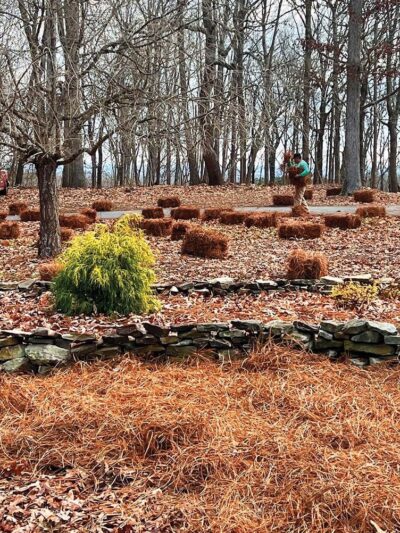 Sánchez Pinestraw LLC - Hamlet, NC