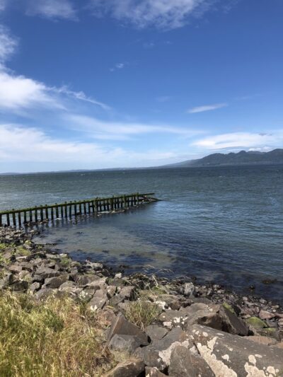 Warrenton Dog Park - Hammond, OR