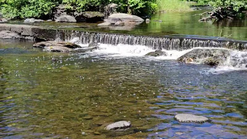 Paper Mill Recreation Area - Hampden, ME