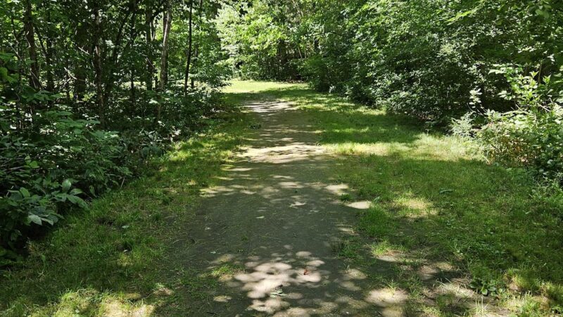 Paper Mill Recreation Area - Hampden, ME