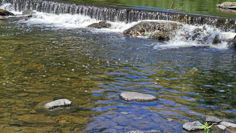 Paper Mill Recreation Area - Hampden, ME