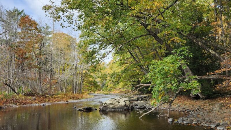 Paper Mill Recreation Area - Hampden, ME