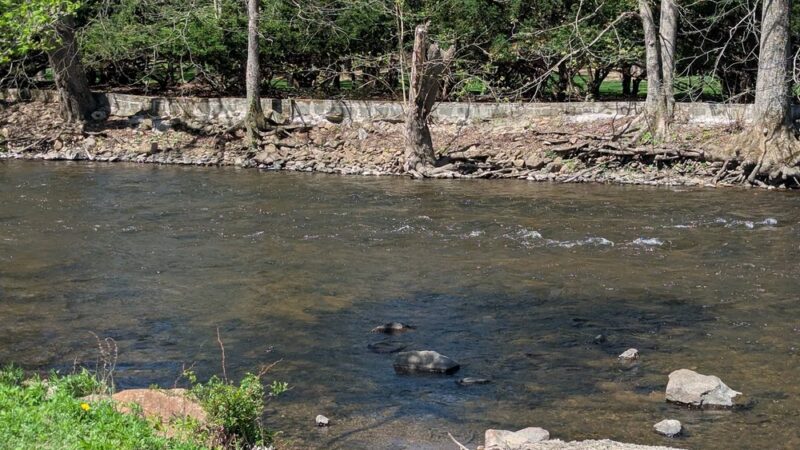 Hampton Borough Park - Hampton, NJ