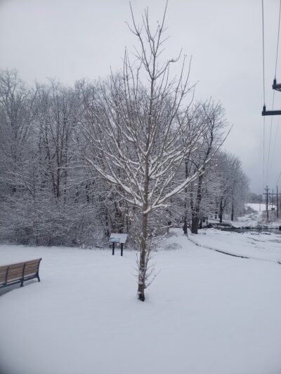 Hampton Borough Park - Hampton, NJ